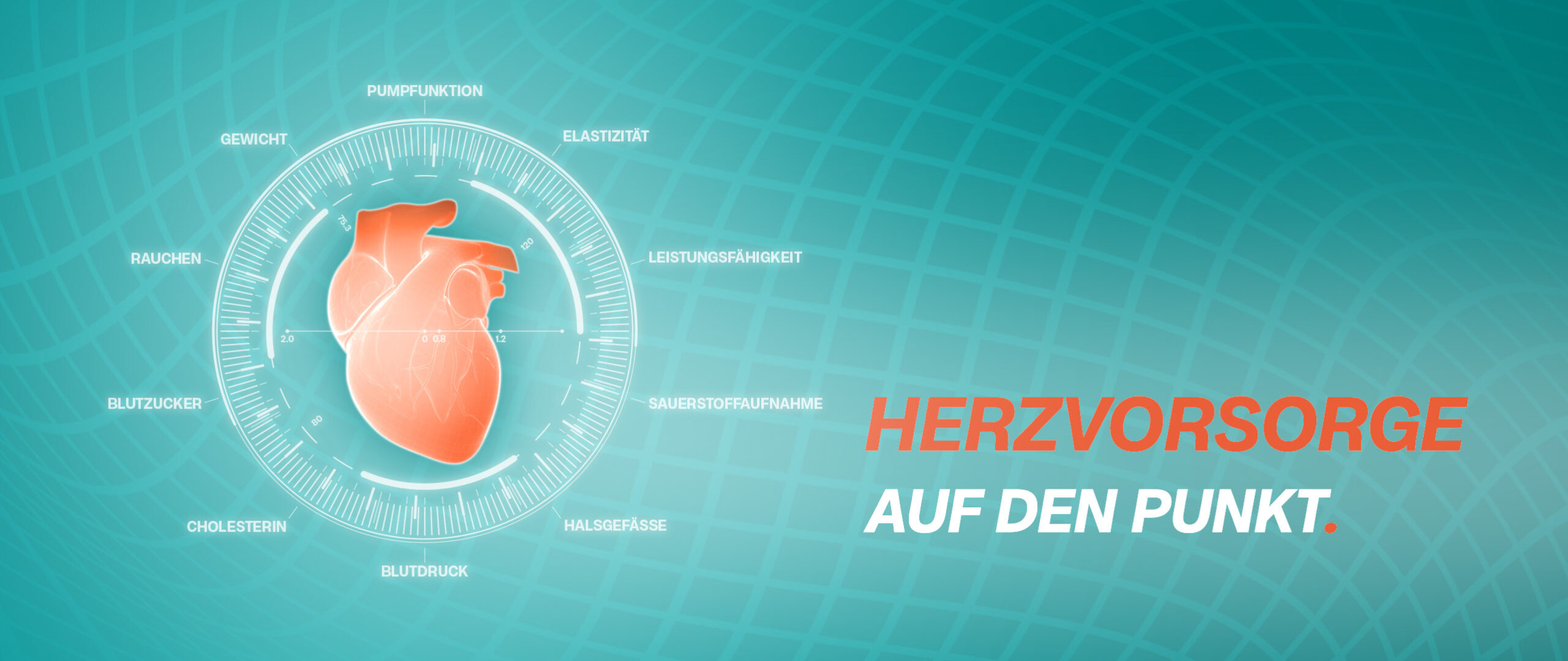 kardioquick_herzvorsorge_auf_den_punkt